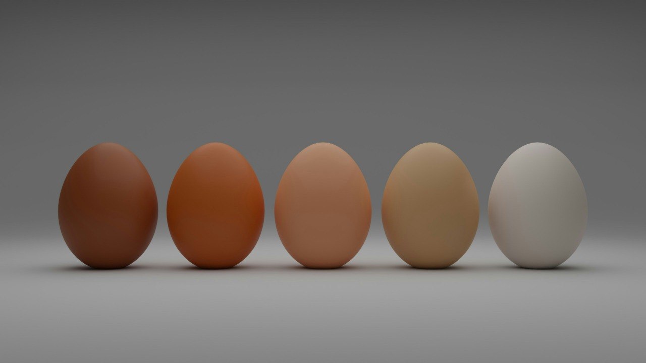 Perbandingan telur dengan berbagai warna cangkang