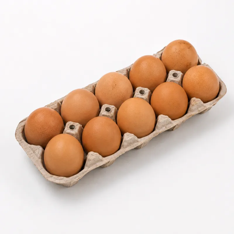 Kemasan telur OHMEGA isi 10