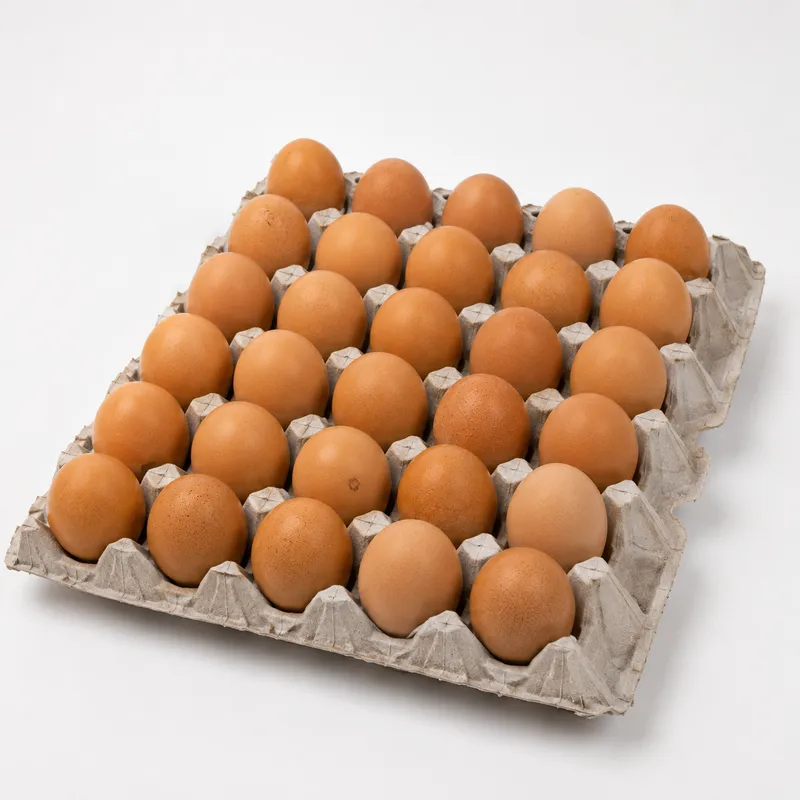 Kemasan telur OHMEGA isi 30